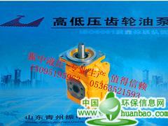 中國CBGJ2063齒輪泵，濰坊專業的CBGJ2063齒輪油泵山東廠家