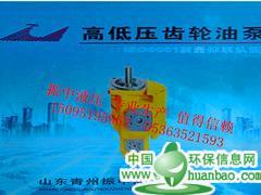 濰坊龍工CBGJ3高壓雙聯泵廠家推薦，價格合理的龍工CBGJ3高壓雙聯泵