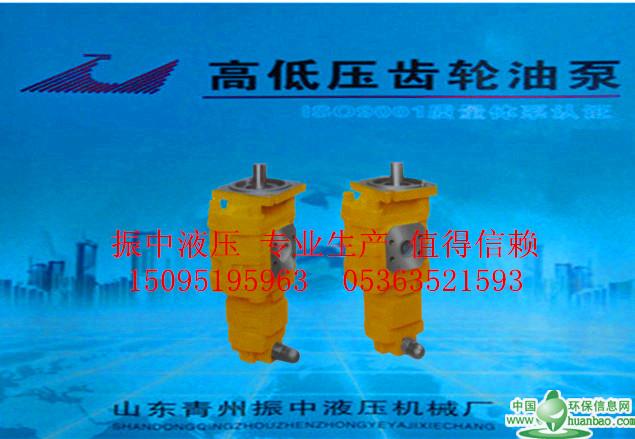 山東專業(yè)雙聯(lián)齒輪油泵制造商-CBG齒輪油泵廠家