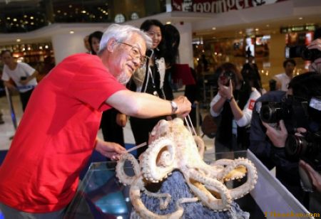 “筷子水族館”宣傳環(huán)保