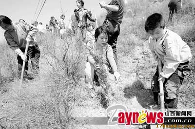 十年不懈植樹綠化三晉大地：“綠色與健康同行”環(huán)保宣傳活動(dòng)吸引車友積極響應(yīng)