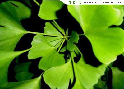 民間流傳的6種飲食誤區(qū)