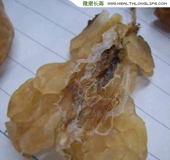 告訴你一些食材的屬性和推薦的潤肺食物