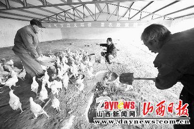 以養(yǎng)殖、沼氣生產(chǎn)為一體的環(huán)保能源企業(yè)在平魯區(qū)投入運行