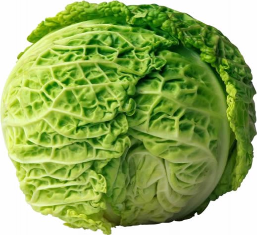 十種神奇有效的減肥食物
