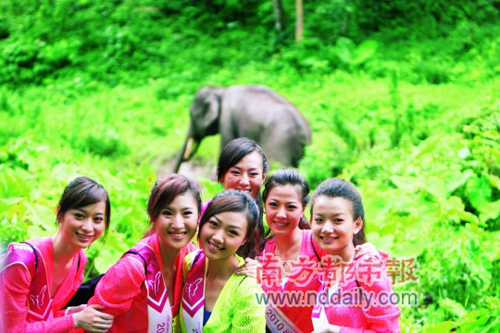 珠江小姐版納宣環(huán)保