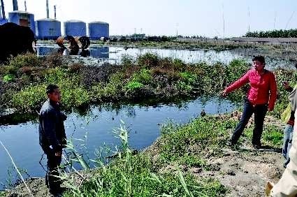 化工廠圍墻倒塌污水沖進養鴨場4千余鴨子死亡