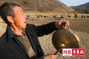 梅花鹿是國(guó)家一級(jí)保護(hù)動(dòng)物,現(xiàn)在保護(hù)區(qū)里只有600多只,而在短短的兩個(gè)月內(nèi)就死傷了100多只。 梅花鹿是國(guó)家一級(jí)保護(hù)動(dòng)物,現(xiàn)在保護(hù)區(qū)里只有600多只,而在短短的兩個(gè)月內(nèi)就死傷了100多只。