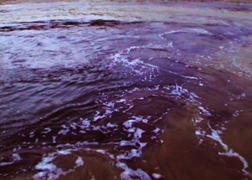 暗藏在灌河底的排污口排出的污水墨浪翻滾。 暗藏在灌河底的排污口排出的污水墨浪翻滾。