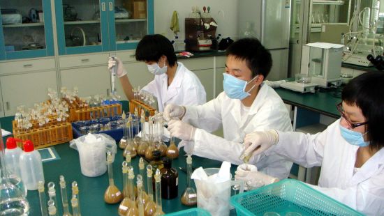 佛山二中團隊暑假在實驗室做研究。