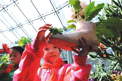 植物園里環(huán)保種花