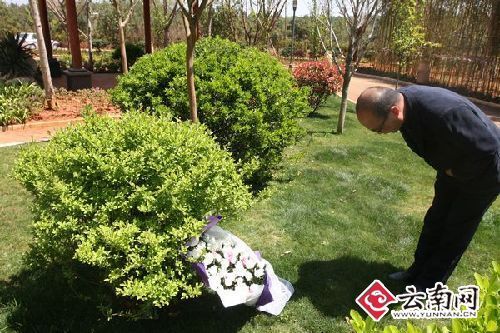 長(zhǎng)松園陵園清明千人集中祭掃倡導(dǎo)低碳、環(huán)保（圖）