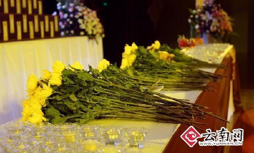長(zhǎng)松園陵園清明千人集中祭掃倡導(dǎo)低碳、環(huán)保（圖）