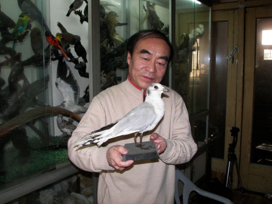 劉德天與黑嘴鷗
