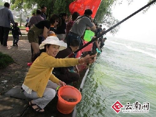 網友齊聚“滇池節”倡議環保從我做起