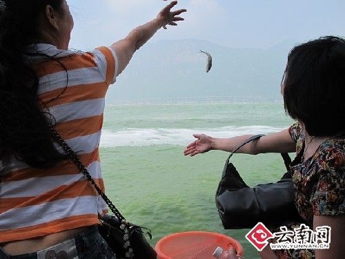 網友齊聚“滇池節”倡議環保從我做起