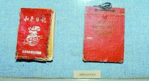 陳郁：深圳走出的“能源部長”