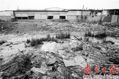 電鍍小作坊廢水未經處理，大量有害重金屬就隨著廢水滲透到土壤。圖為去年順德某電鍍城后偷排的廢水正在溢向附近的居民區。 王伯樂 攝