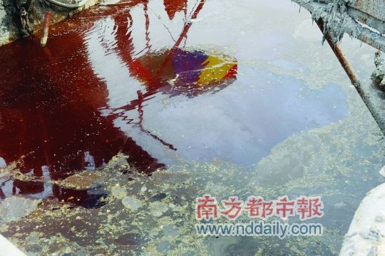 環保磚?黑心磚！