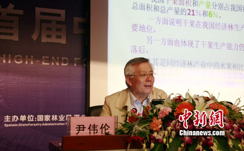 首屆中國核桃節舉行高端論壇院士吁探索新能源
