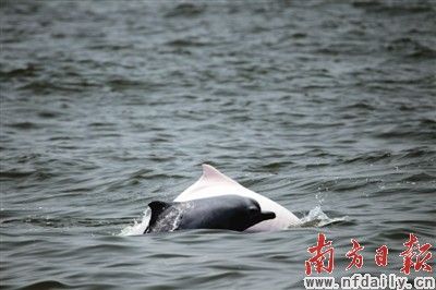 粵率先探索海洋環保聯合執法新模式