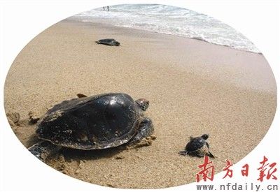 粵率先探索海洋環保聯合執法新模式