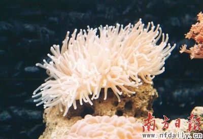 粵率先探索海洋環保聯合執法新模式