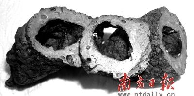 沒有石油那一天可燃冰點燃替代能源?