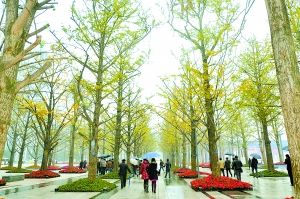 街道設環保監督站，市民可就近舉報