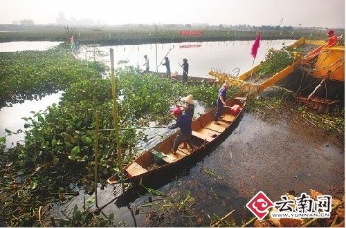 昆明市環保局出具最新監測報告顯示滇池草海污染物減少兩項
