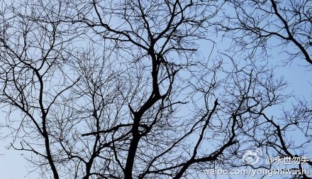 　　網(wǎng)友“永世勿失”微博發(fā)布的西安藍(lán)天圖