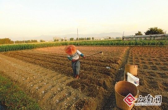 用地上山咋破資金環(huán)保瓶頸我省學(xué)者給出建議