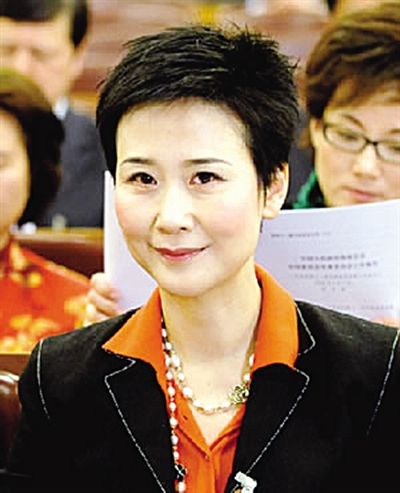 全國政協委員、中國電力國際有限公司董事長 李小琳