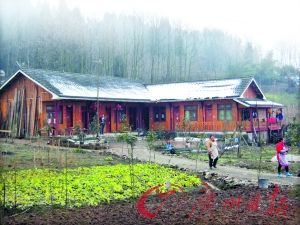 建木屋養生態豬地震村的環保實驗