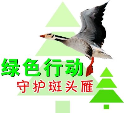 環(huán)保人士紛紛報名赴青海班德湖