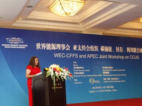 美國能源部化石能源國際事務副助理部長Barbara Mckee