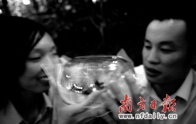 螢火蟲從游客手中回到大自然，殺生多于放生。符超軍 攝