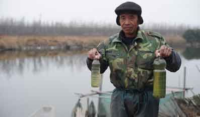 蕭山臨江工業(yè)園中的一個排污口管道破裂，污水流入新一村村民陳天雷的魚塘，造成2000斤魚死亡。（本報記者 姬東 攝）