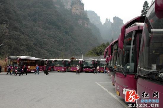 武陵源核心景區天子山至袁家界環保車恢復通行