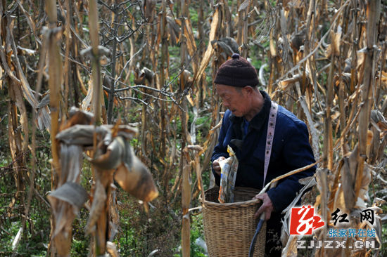【記者走基層】武陵源區索溪峪鎮的環保“盛宴”