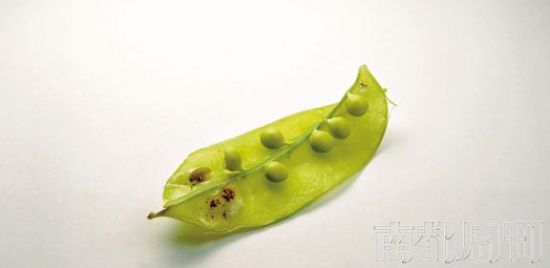 營養？未必！安全？未必！環保？未必！