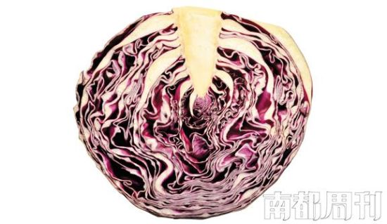 營養？未必！安全？未必！環保？未必！