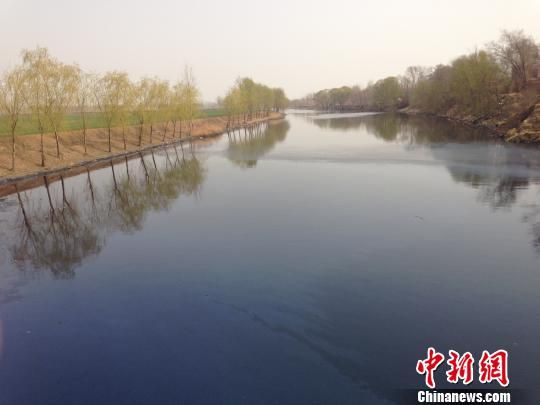 河北寧晉污水排入河流？環保局稱“絕無排放”
