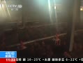地下水變紅致800雞死