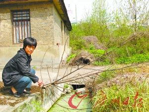 魏家的養豬場一角，煙囪位置便是大生化工廠。