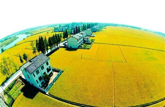 土壤“環保身份證”能否破解土壤污染惡化困局？