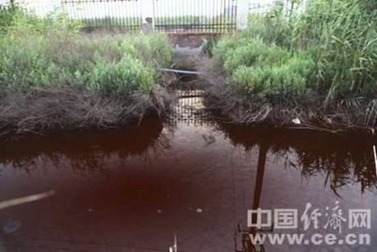 明盛化工廠區東側，紅色酸性污水從廠區內流入廠區外的溝渠中。蔣毅坤/攝