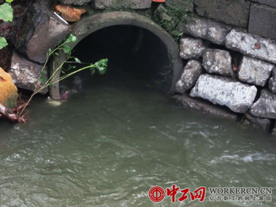污水地下橫穿206國道，再由“以琳美食園”墻邊潛入地下，倏忽不見。污水經后站村莊頭后溢出，流入溝渠，進入鄰地蒼山縣。(張悅 攝)