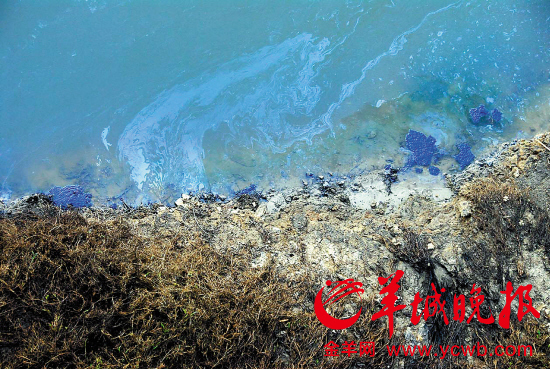 惠州環(huán)?？己巳霃V東三甲治理淡水河十四年逆轉(zhuǎn)