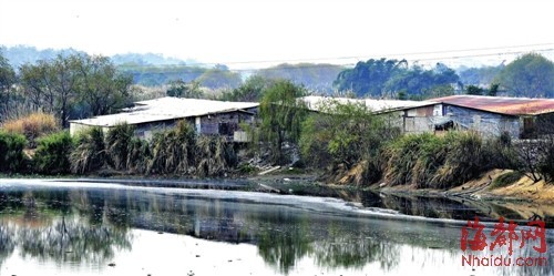 兩級環(huán)保部門昨進村調(diào)查